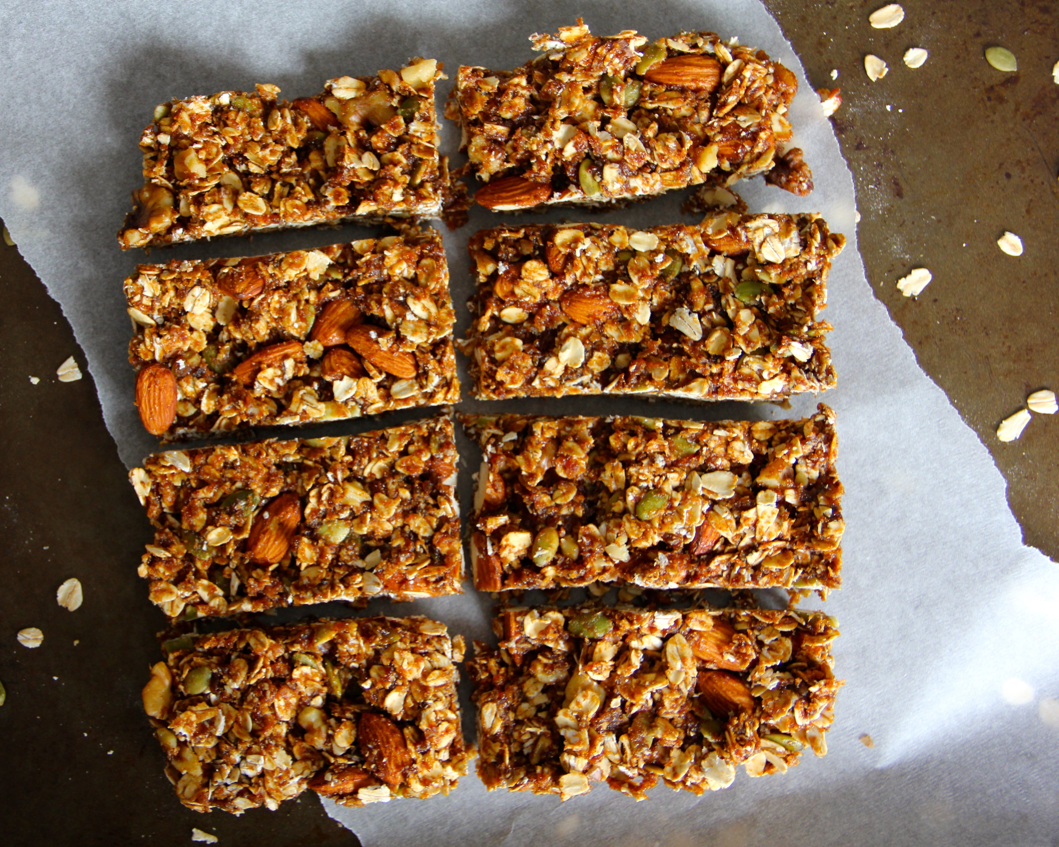 Not Your Grandma's Granola Bars (Kid Friendly Recipe)